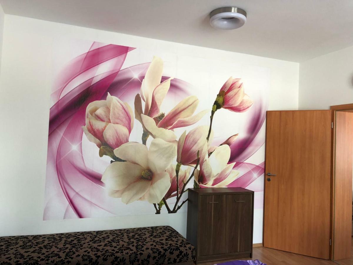 Apartman c.8 Magnolie Třeboň Esterno foto
